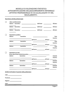 modello di rilevazione statistica