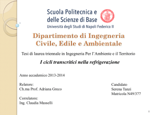 sintesi della Tesi - Ingegneria per l`Ambiente e il Territorio