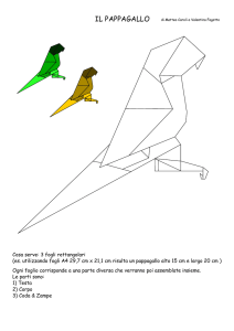 il pappagallo - Centro Diffusione Origami