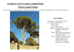 FLORA E FAUNA DEL COMPITESE