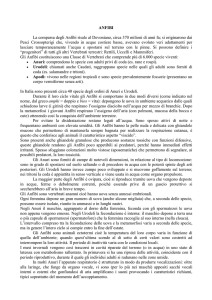 ANFIBI La comparsa degli Anfibi risale al Devoniano, circa 370