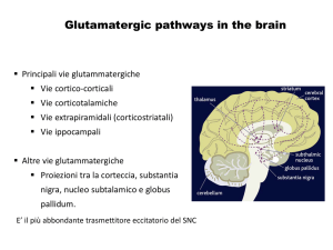 Lezione VII - Glutammato 28-11