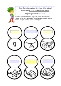 Il Ciclo vitale della Zucca.Apprendimento e manualità