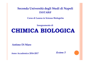 3 Gli amminoacidi 2017