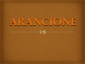 Presentazione standard di PowerPoint