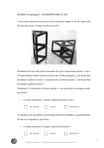 SCHEDA B tipologia b - RADDOPPIAMO I LATI A B