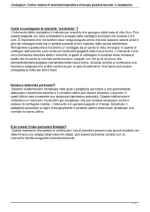 L`otoplastica