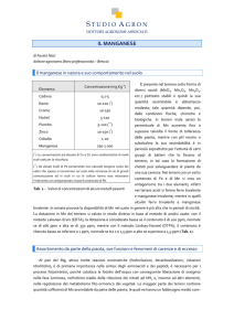 Manganese - Studio Agron