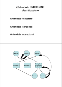 Ghiandole endocrine File