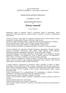 3° L.C. - ISIS NIccolini Palli