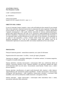 Primo anno - Corso di Laurea Specialistica e Magistrale in