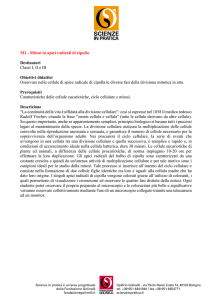 M1 - Mitosi - Scienze in Pratica
