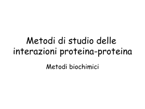 Metodi di studio delle interazioni proteina-proteina - e