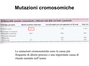 Presentazione di PowerPoint