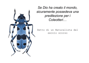 Se Dio ha creato il mondo, sicuramente possedeva una