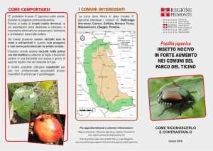 Pieghevole Popillia japonica (pdf 2,60 MB)