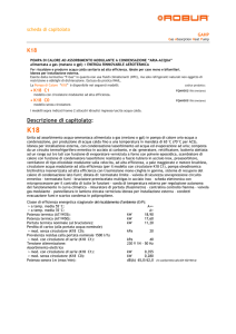 Scheda di capitolato K18File PDF