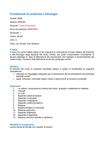 Fondamenti di anatomia e fisiologia