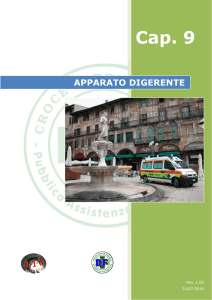 Cap 09: Apparato digerente