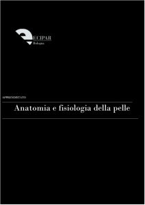 La Formazione Del Certificatore Energetico In Edilizia Anatomia e