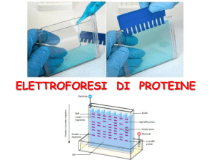 Diapositiva 1