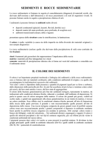 3-dispensa per studenti File