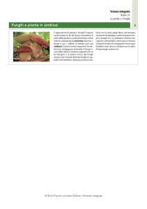 Funghi e piante in simbiosi - Zanichelli online per la scuola