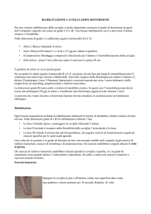 Riabilitazione caviglia dopo distorsione