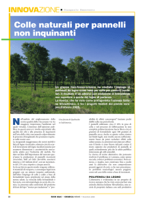 Colle naturali per pannelli non inquinanti