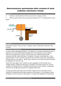 Bozza relazione Joule