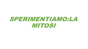 la mitosi