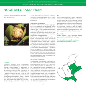 noce dei grandi fiumi
