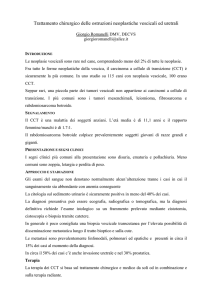 interventi di salvataggio sulle vie urinarie