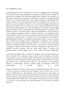 noi, i babbuini e l`aids