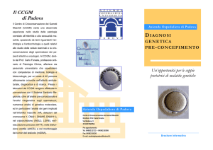 scaricare brocure illustrativa - Acmt-Rete