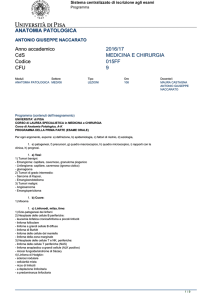 Esporta in pdf
