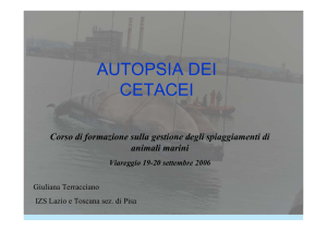 Protocollo di autopsia