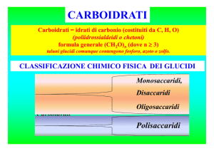 carboidrati