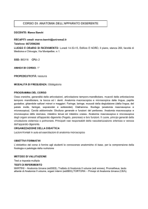 Anatomia Programma SNU 2015-16