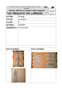 Lo scheletro - Laboratorio Interattivo Manuale