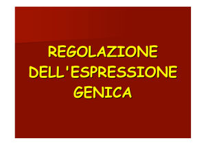 regolazione dell`espressione genica