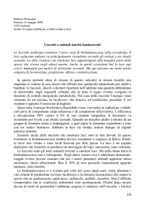 1/6 Lucciole e animali marini luminescenti Le