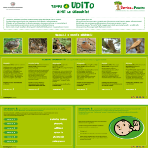 Pannello Udito [file ]