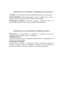 ARGOMENTI SU CUI VERTERA` IL PROBLEMA DI MATEMATICA