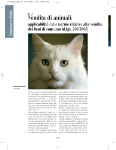 (d.lgs. 206/2005) Vendita di animali