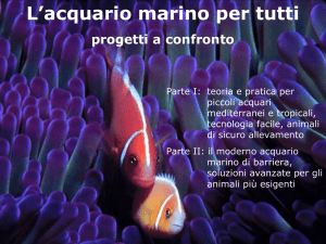 L`acquario marino per tutti