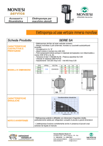 Elettropompa ad asse verticale immerso monofase