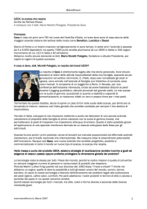BrandForum 1 GEOX, la scarpa che respira Scritto
