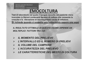 Laboratorio unico provinciale di Ferrara Emocoltura