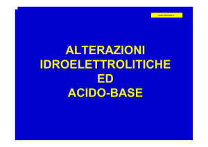 Equilibrio idro-elettrico